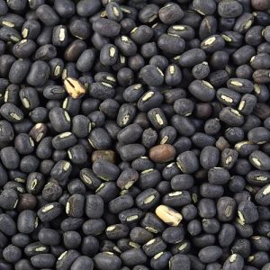 BLACK GRAM BEANS Exports