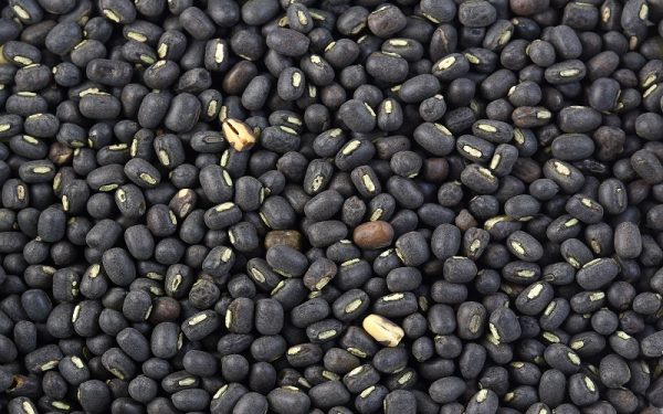 BLACK GRAM BEANS Exports